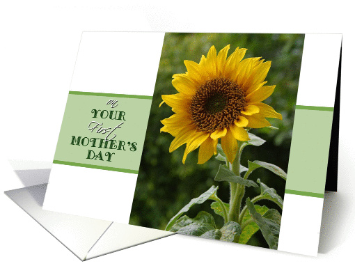 Mother's Day, First, superb Sunflower card (1044623)