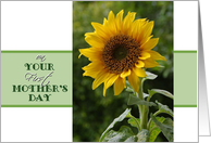 Mother’s Day, First, superb Sunflower card
