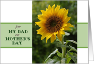 Mother’s Day, for Dad, superb Sunflower card