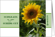 Congrats, Coming out of Closet, for Cousin, superb Sunflower card