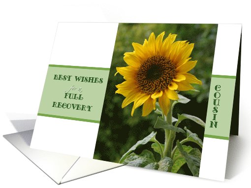 Recovery encouragement, addiction, for Cousin, Sunflower card