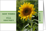 Recovery encouragement, addiction, for Cousin, Sunflower card