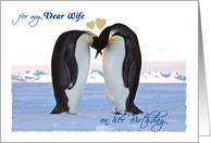 Birthday for Wife - Penguin Pair with Hearts, Antarctica card