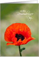 Remembrance Day Card...