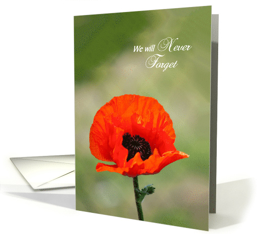 We will Never Forget - Remembrance Day Card - Red Poppy card (1263186)