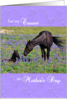 Mother’s Day card for Cousin - Mustang Mare and Foal card