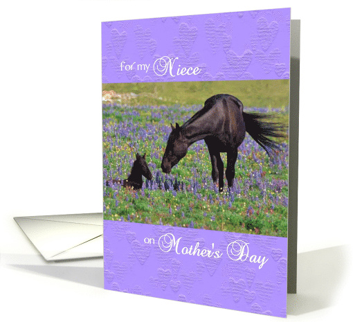 Mother's Day card for Niece - Mustang Mare and Foal in Meadow card