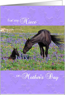 Mother’s Day card for Niece - Mustang Mare and Foal in Meadow card