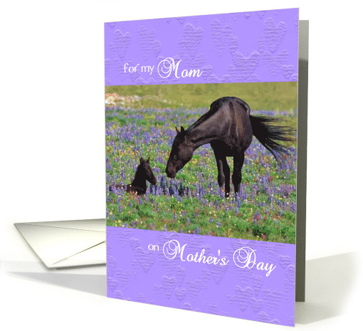 Mother's Day card for Mom - Mustang Mare and Foal with... (1374322)