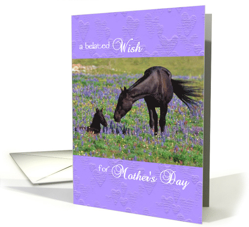 Mother's Day card Belated - Mustang Mare and Foal card (1374328)