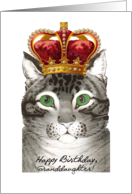 Birthday for Granddaughter, Cat wears Fancy Crown, Like Royalty card