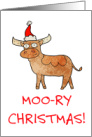 Bull with Santa Cap Christmas card - Moo-ry Christmas! card