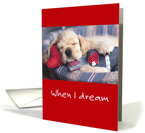 Dreaming Puppy Friendship Valentine's Day Poem card (1588054)