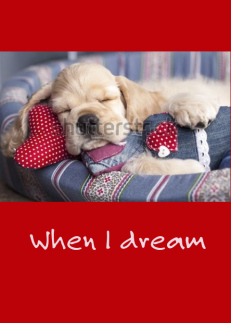 Dreaming Puppy...