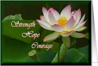 Hope for Someone with Cancer beautiful Water Lily card