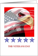 This Veterans Day -...