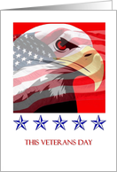 This Veterans Day - eagle, flag, military stars card