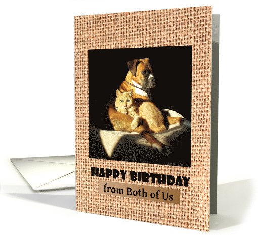 Happy Birthday, from both of us, boxer and cat cuddling card (692387)