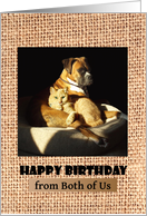 Happy Birthday, from both of us, boxer and cat cuddling card