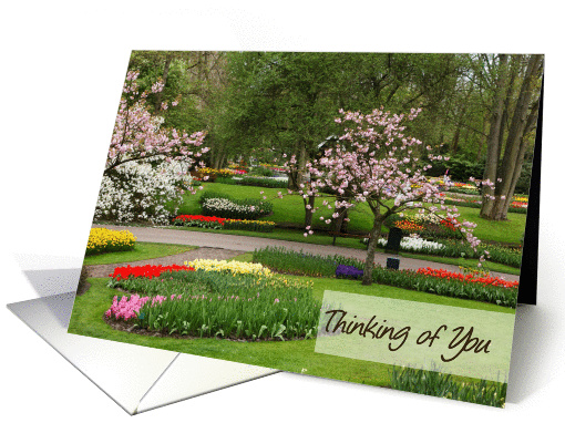 Thinking of You, friend, Keukenhof Gardens card (697935)