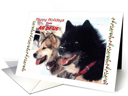 Happy Holidays, all of us, sled dogs, lights card (709305)