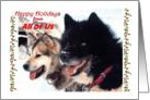Happy Holidays, all of us, sled dogs, lights card