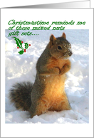 Christmas, squirrel in snow card