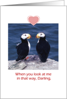 Valentine’s Day two Puffins on Rock - Humorous card