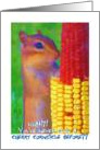 Birthday, chipmunk, corn cob, humor card
