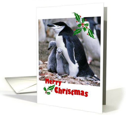 Merry Christmas, for adoptive parent - mother, penguin family card