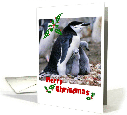 Merry Christmas, for adoptive parent - father, penguin family card