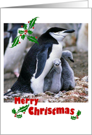 Merry Christmas, for adoptive parent - father, penguin family card