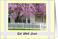 Get Well Soon, pink Blossoms, Picket Fence card