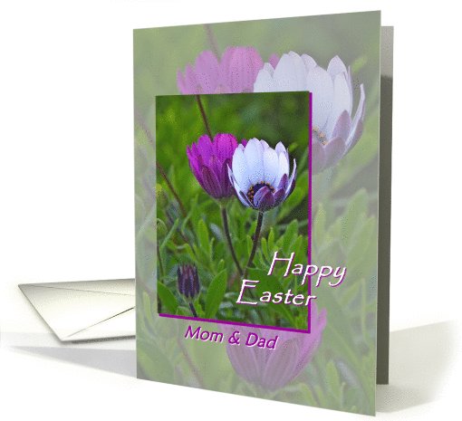 Happy Easter, mom and dad, flowers card (776504)