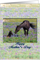 Mother’s Day, mare with foal, poem card