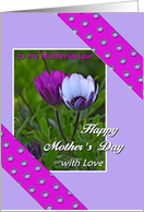 Happy Mother’s Day, for mother-in-law, flowers card