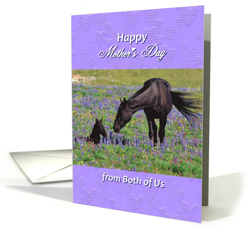 Mother's Day from Both of Us Mare with Foal in Bluebonnets... (789304)