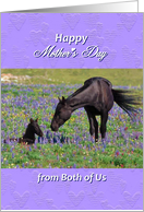Mother’s Day from Both of Us Mare with Foal in Bluebonnets Pasture card