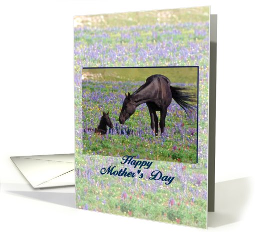 Happy Mother's Day, mare with foal, poem card (790325)