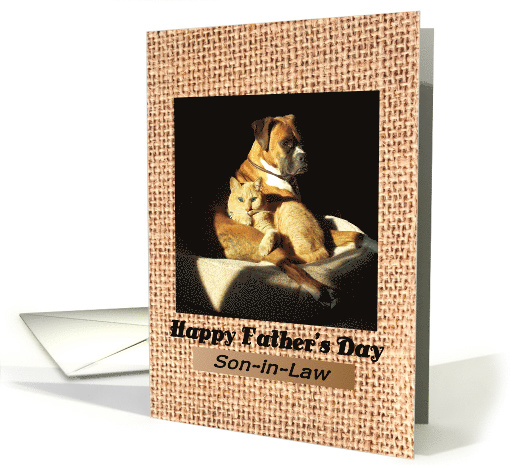 Father's Day for Son-in-Law - Boxer cuddling with Cat card (796011)