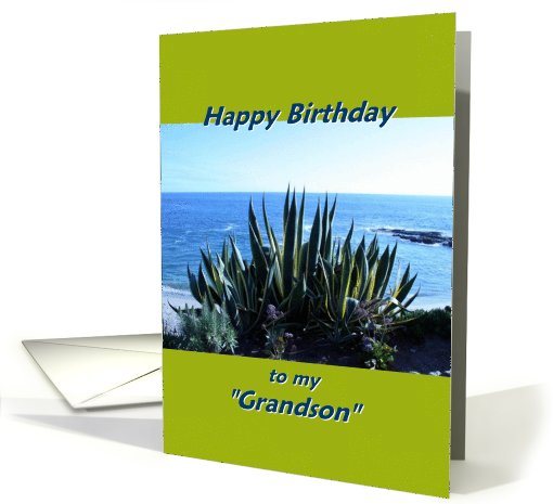 Happy Birthday, like a grandson card (814190)