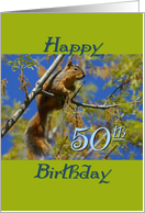 Birthday, 50th, squirrel card