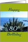 Birthday, 80th card