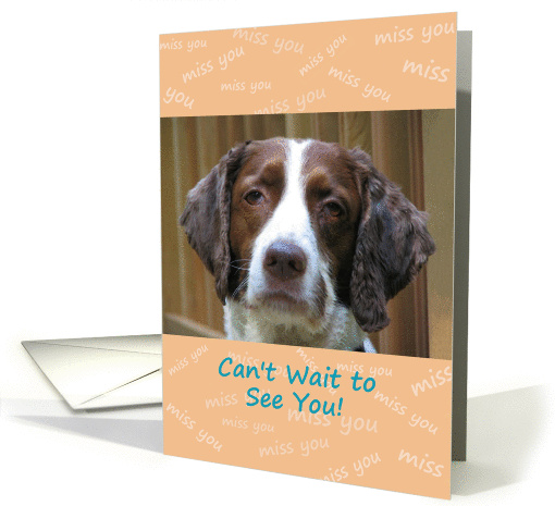 Miss you, Spaniel, can't wait to see you card (838870)