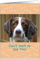 Miss you, Spaniel, can’t wait to see you card