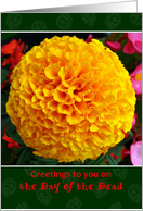 Day of the Dead Greetings, Marigold card