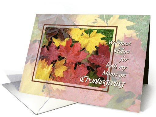 Thanksgiving for Both Moms - Fallen Maple Leaves card (865489)