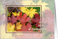 Thanksgiving for Both Moms - Fallen Maple Leaves card