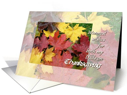 Thanksgiving, for both Dads, Maple leaves card (865818)