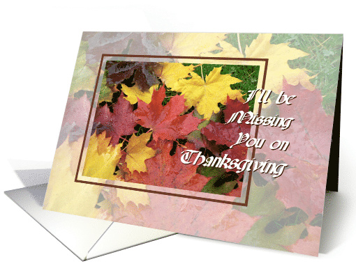 Thanksgiving, Missing you, Maple leaves card (867238)